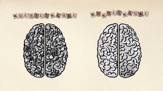 The Benefits of a Bilingual or Multilingual Brain